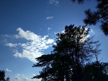 Low angle view of silhouette tree against blue sky