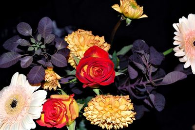 Close-up of rose bouquet