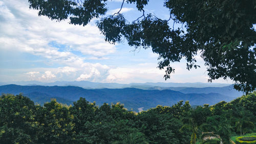 Scenic view of tree mountains against sky