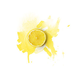 Close-up of lemon slice against white background