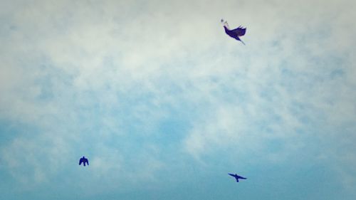 Low angle view of kite flying in sky