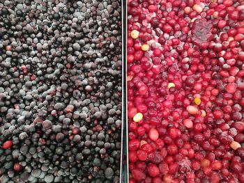 High angle view of fruits for sale in market