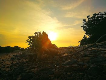 Scenic view of field against sky during sunset