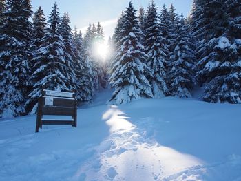 Trees on snow covered land against sky