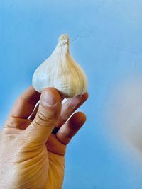 Garlic clove against a blue sky