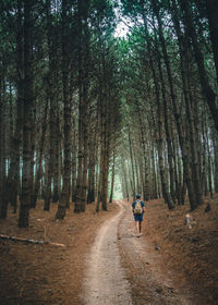 Rear view of man walking on road in forest