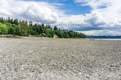 A view of the shoreline at saltwater state park in des moines, washington.