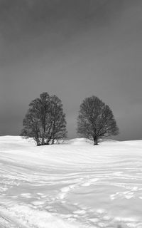 Trees on snow covered field against sky