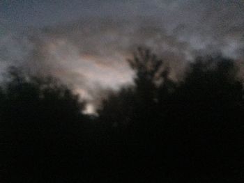 Low angle view of silhouette trees against sky at night