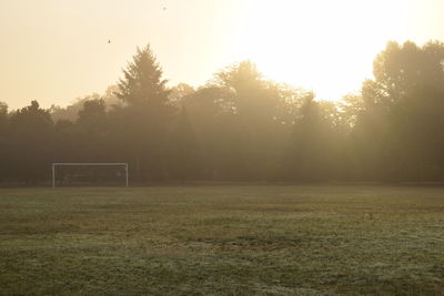 Scenic view of grassy field at sunset