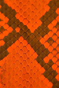 Full frame shot of tiled floor