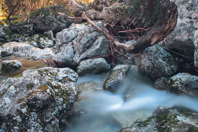 River flowing through rocks in forest