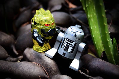 High angle view of toys on plant
