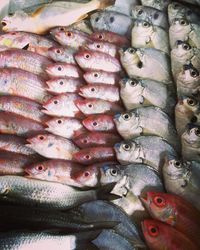 Close-up of fish for sale in market