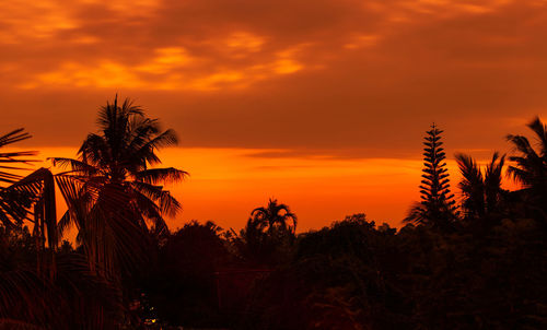 Silhouette palm trees against dramatic sky during sunset