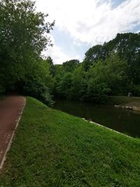 Scenic view of grass by trees against sky