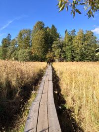 Footpath amidst trees on field against sky