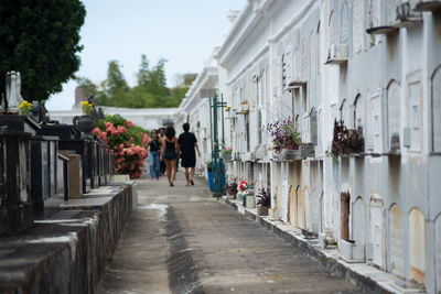 View of the campo santo cemetery in the city of salvador, bahia.