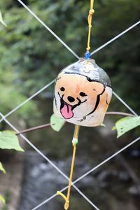 Close-up of heart shape hanging on rope