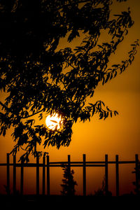 Tree by sea against sky during sunset