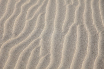Full frame of sand dune