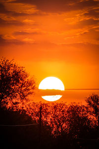 Silhouette of trees at sunset