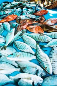 High angle view of fish for sale in market