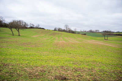 landscape