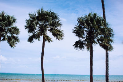 Palm trees by sea against sky