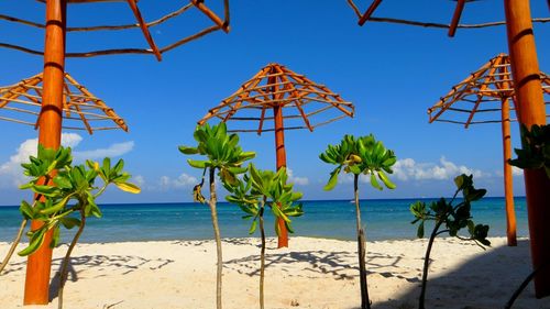 Parasols at beach against blue sky during sunny day