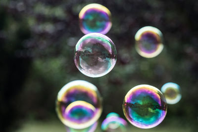 Close-up of bubbles