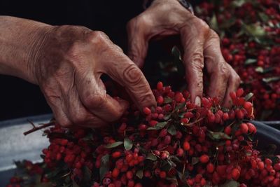 Close-up of man holding red flowers