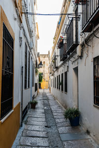 Alley amidst buildings in city
