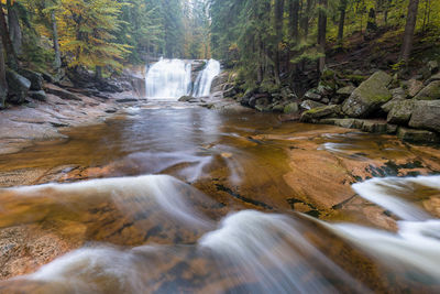 Scenic view of waterfall in forest
