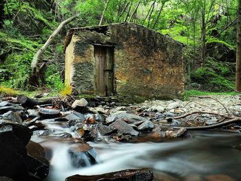 Stream flowing through rocks