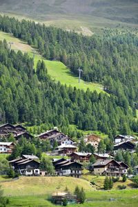 High angle view of village on field