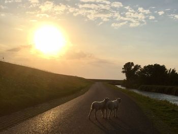 Road amidst landscape against sky during sunset