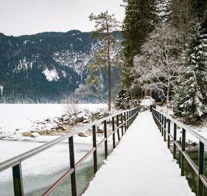 Snow covered plants by railing against snowcapped mountain