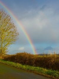 Scenic view of rainbow over field against sky