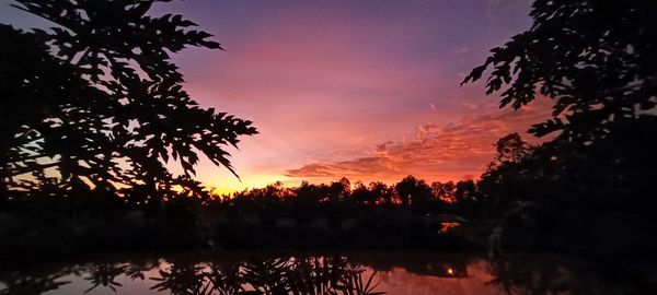 Silhouette trees against sky during sunset