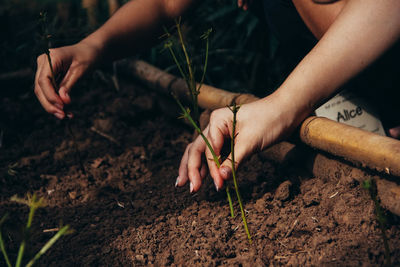 Midsection of woman holding plant