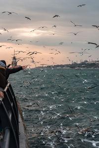 Seagulls flying over sea during sunset