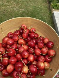 High angle view of cherries in bowl