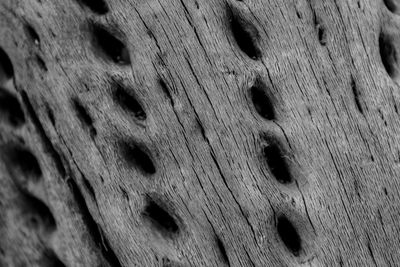 Full frame shot of hole