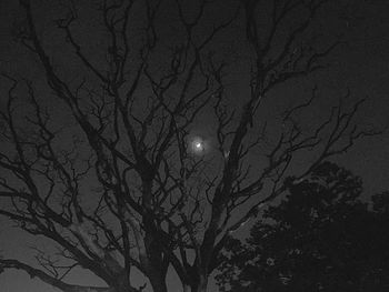 Low angle view of bare trees against sky