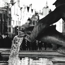 Close-up of horse in water