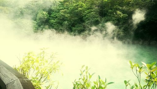 Scenic view of waterfall