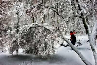 Person on snow covered land