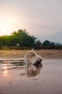 Driftwood on rock by sea against sky during sunset