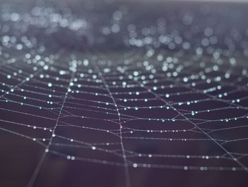 Full frame shot of water drops on spider web